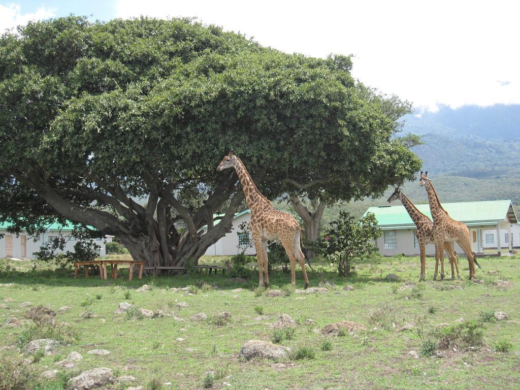 Willa Hillside Retreat - Africa Amini Life Usa River Zewnętrze zdjęcie