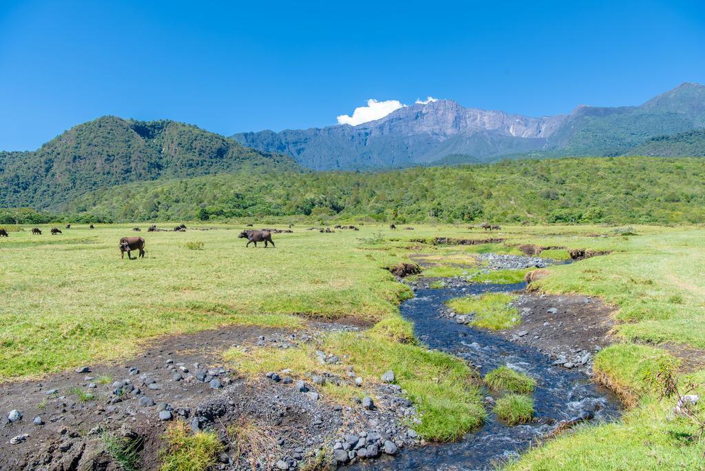 Willa Hillside Retreat - Africa Amini Life Usa River Zewnętrze zdjęcie